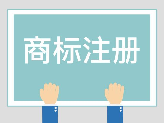 企业注册商标查询过程分为哪几个步骤？